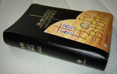 71ymzywwgnl._sl1280__1_
