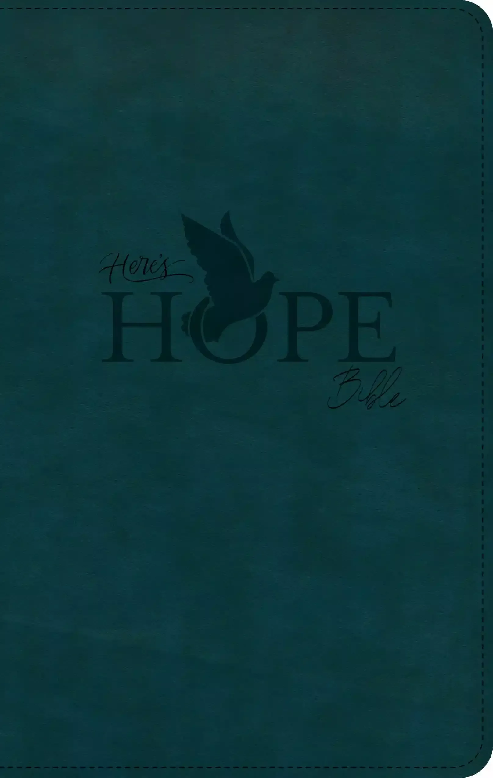 csbherehopebibledarkteal